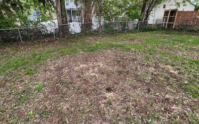 Photo of Lauren B.'s yard after getting landscaping in Petersburg, KY