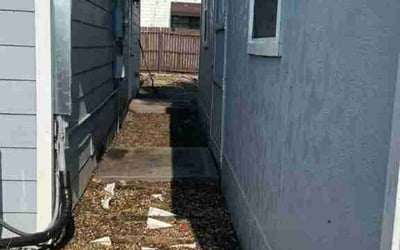 Photo of Andrew P.'s yard after getting landscaping in Paisley, FL