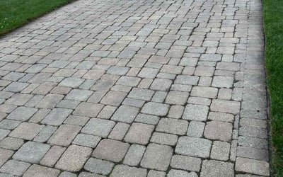Photo of Ann H.'s yard after getting landscaping in Evanston, IL