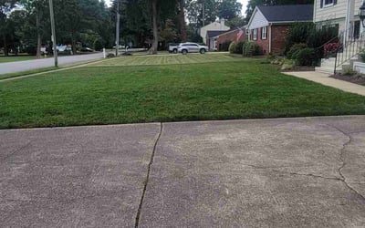 Photo of Tevran G.'s yard after getting tree care in Windsor, VA