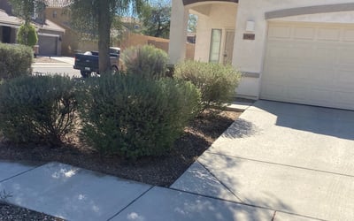 Photo of Adam W.'s yard after getting lawn care in Sun City West, AZ