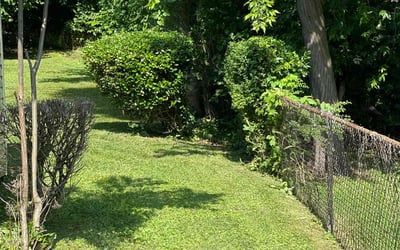 Photo of Eric J.'s yard after getting landscaping in Byhalia, MS