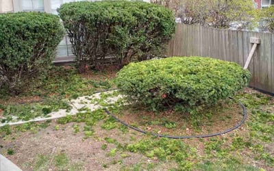 Photo of Judy Y.'s yard after getting landscaping in Nashotah, WI