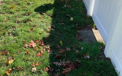 Photo of Michael C.'s yard after getting landscaping in North Attleboro, MA