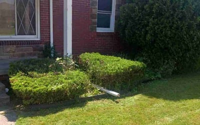 Photo of Mary L.'s yard after getting landscaping in Almont, MI
