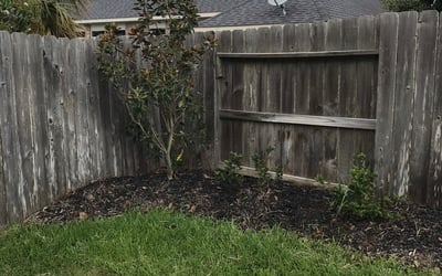 Photo of Paul B.'s yard after getting landscaping in Rye, TX