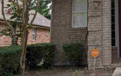 Photo of Mallarie B.'s yard after getting tree care in Mckinney, TX