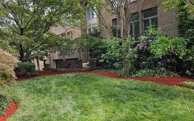 Photo of Justin C.'s yard after getting landscaping in Alexandria, VA