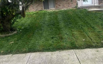 Photo of Jackie F.'s yard after getting landscaping in Omaha, NE