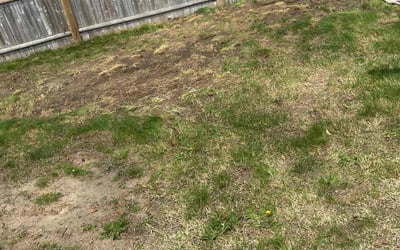 Photo of Marco C.'s yard after getting landscaping in Warwick, RI