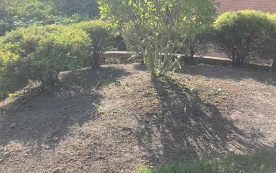 Photo of Kenneth T.'s yard after getting landscaping in Moores Hill, IN