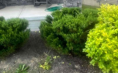 Photo of Brent B.'s yard after getting landscaping in Plain City, OH