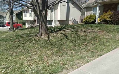 Photo of Jessica L.'s yard after getting landscaping in Gower, MO
