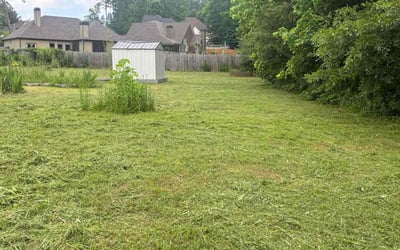 Photo of Michael P.'s yard after getting landscaping in Dallas, GA