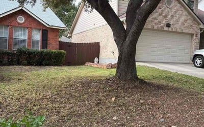 Photo of Cheryl H.'s yard after getting landscaping in Yancey, TX