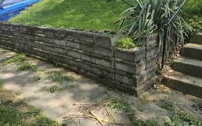 Photo of David C.'s yard after getting landscaping in Harveysburg, OH
