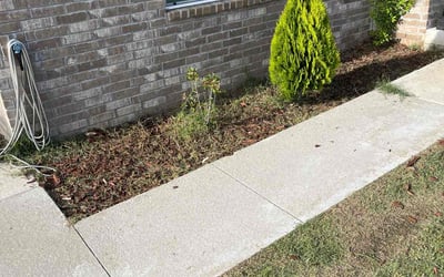 Photo of Alex W.'s yard after getting tree care in Tulsa, OK