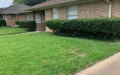 Photo of Brandy G.'s yard after getting landscaping in Avalon, TX