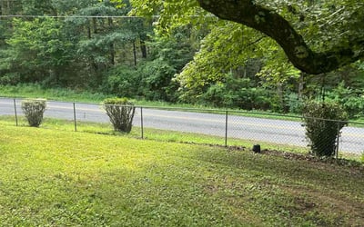 Photo of John C.'s yard after getting tree care in Chattanooga, TN