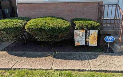 Photo of Qiana S.'s yard after getting landscaping in Columbus, OH