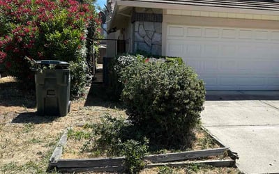 Photo of Ophelia R.'s yard after getting landscaping in Newark, CA