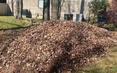 Photo of Michael O.'s yard after getting landscaping in Sardinia, OH