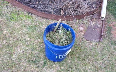 Photo of Alex W.'s yard after getting landscaping in Jones, OK