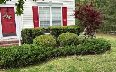 Photo of Caitlin W.'s yard after getting tree care in Quinton, VA