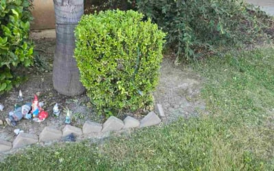 Photo of Matthew M.'s yard after getting landscaping in Menifee, CA