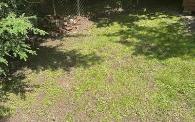 Photo of Michelle M.'s yard after getting landscaping in Springfield, MA