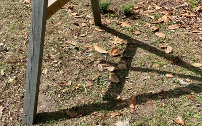 Photo of Ashley G.'s yard after getting landscaping in Edisto Island, SC