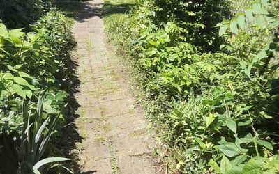 Photo of Greg H.'s yard after getting landscaping in Sparta, KY