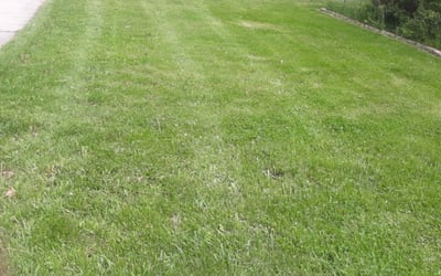 Photo of Crystal A.'s yard after getting landscaping in Hubertus, WI