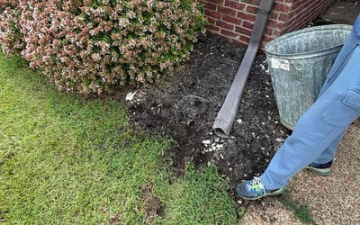 Photo of Larry H.'s yard after getting tree care in Maryville, TN