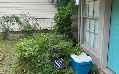 Photo of Catherine W.'s yard after getting landscaping in Dallas, TX