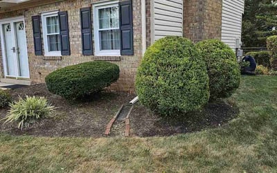 Photo of Lee T.'s yard after getting landscaping in Upperville, VA