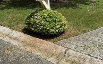 Photo of Kenya C.'s yard after getting tree care in Grayson, GA