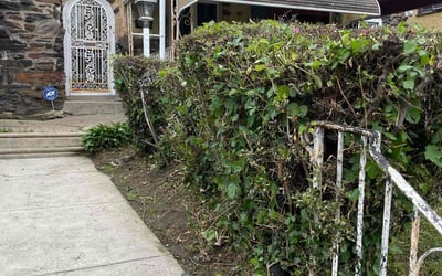 Photo of Adrienne C.'s yard after getting landscaping in Swarthmore, PA