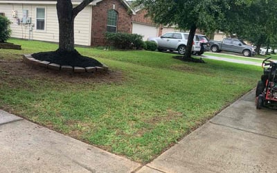 Photo of Torrence K.'s yard after getting landscaping in Romayor, TX