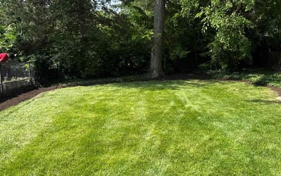 Photo of Jessica P.'s yard after getting lawn care in Baltimore, MD
