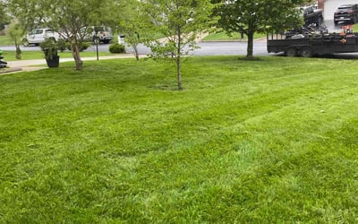Photo of Benzy M.'s yard after getting lawn care in San Mateo, CA