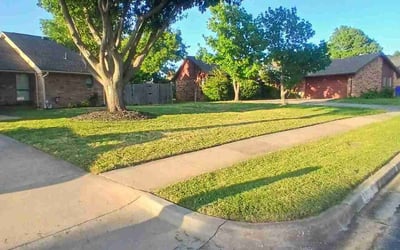 Photo of Nayoun L.'s yard after getting lawn care in San Jose, CA