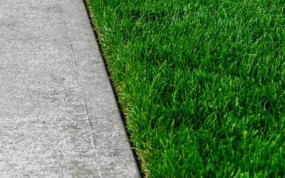 Photo of Teddy K.'s yard after getting lawn care in Palos Hills, IL