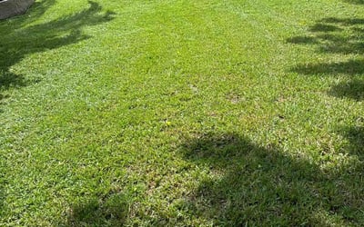 Photo of Christina C.'s yard after getting lawn care in Schenectady, NY