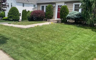 Photo of Yong Z.'s yard after getting lawn care in Nutley, NJ