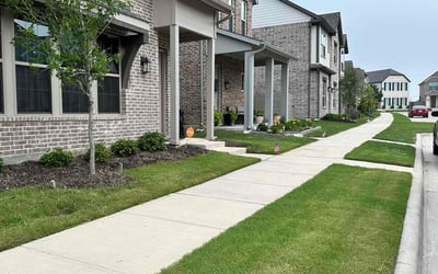 Photo of Jonathan D.'s yard after getting lawn care in Sachse, TX
