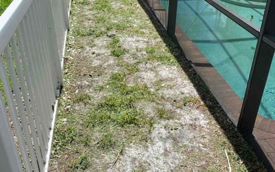 Photo of Prudence D.'s yard after getting lawn care in Vernon Rockville, CT