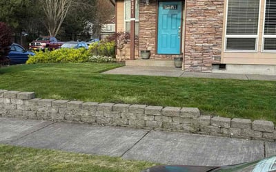 Photo of Vickie M.'s yard after getting lawn care in Albany, OR