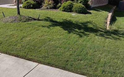 Photo of Mary M.'s yard after getting lawn care in Baytown, TX