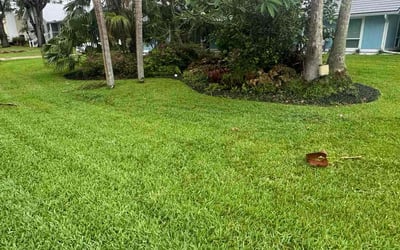 Photo of Linda S.'s yard after getting lawn care in Fort Myers, FL